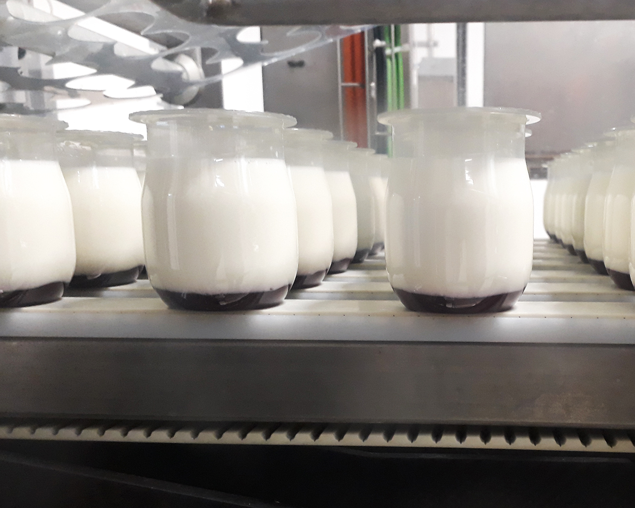Yogurt Filling & Packaging Machines